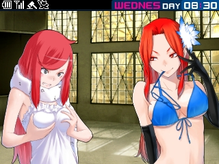 DS2_BR_004.jpg