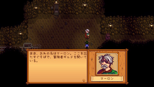 StardewValley_010.jpg